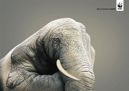 wildlife hand wildlife hand