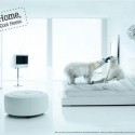 home cool home