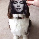 sleeveface photography
