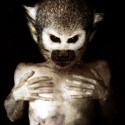 bestiario_francesco-sambo-03