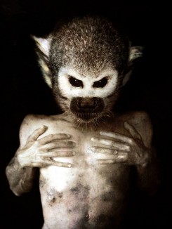 bestiario_francesco-sambo-03