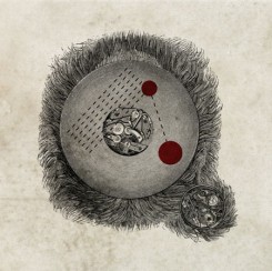 horn_comp