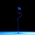 aqueous2_the-sequel-02-944x529
