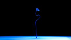 aqueous2_the-sequel-02-944x529
