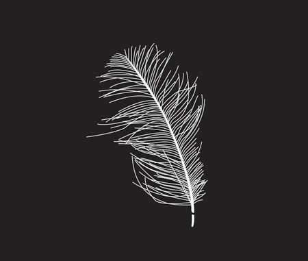  Interior Design Software on Recently Did A Vector Version Of A Duck Feather For A Catalogue  It