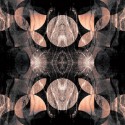 LTVs-ANDY-GILMORE-01
