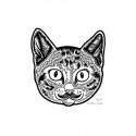 69_matthewgreenmeowstacheweb