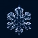 snow-1