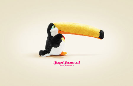 japi-jane-toucan