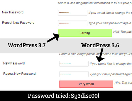 passwordmeter3-7