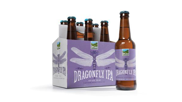 DRAGONFLY_6PK