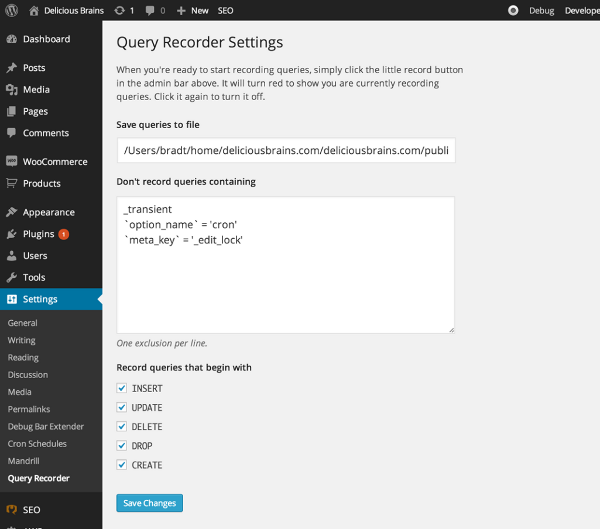 query-recorder-settings