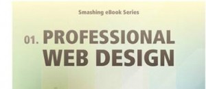 Professional Web Design