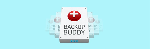 4. backup-buddy