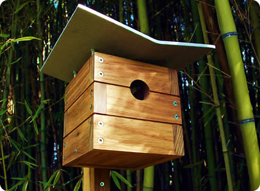 ModernBirdhouses_Ralph