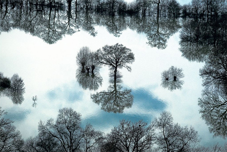 earth from above by yann arthus-bertrand