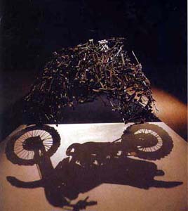 Remarkable Shadow Art