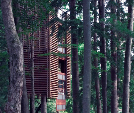 The dream treehouse