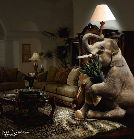 elephant lamp