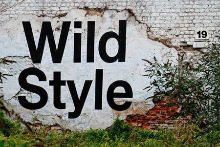 wild style type