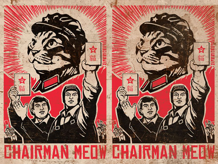 chairman meow