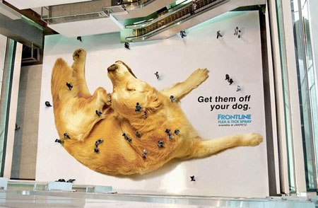 dog fleas ad