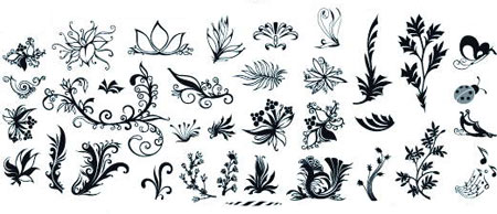 floral elements vectors