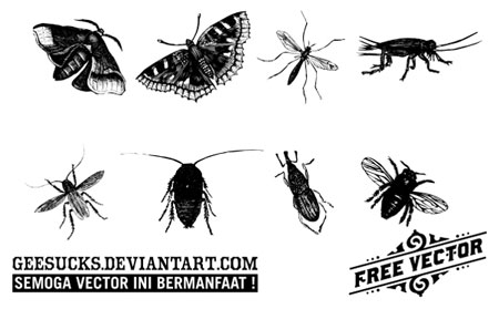 insects vectors