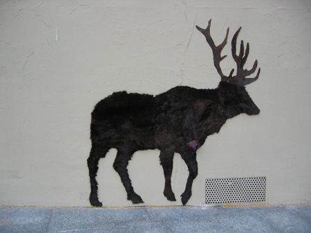 Fur Coat Moose