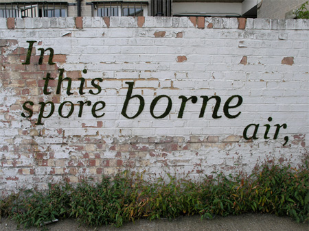 Spore borne air