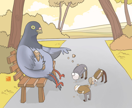 pigeon feeding