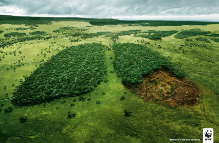 wwf forest lung
