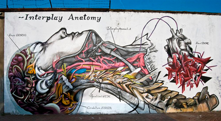 interplay anatomy