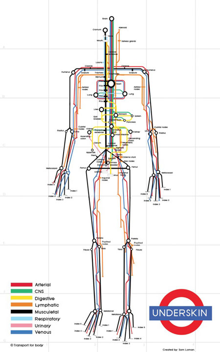 The human body as a subway map