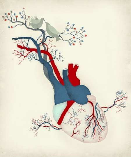 Heart illustration