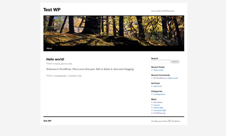 What’s coming up in WordPress 3.0