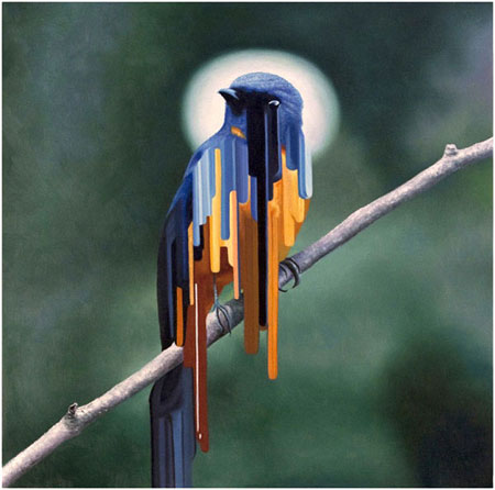 Bird paintings by Maurizio Bongiovanni