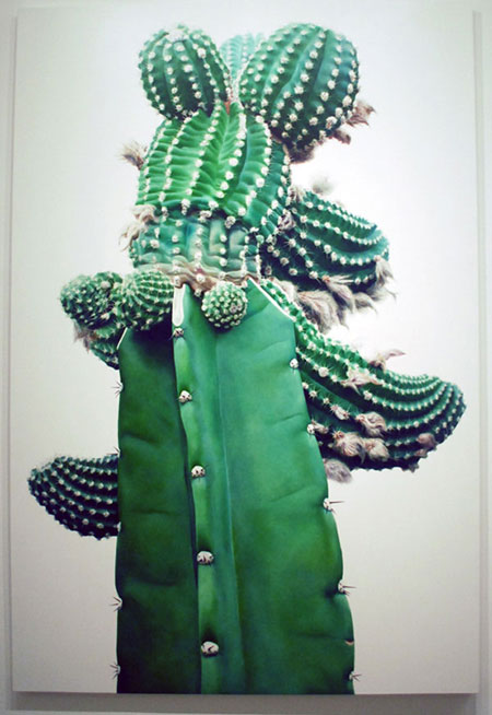 Cactus Paintings by Kwangho Lee