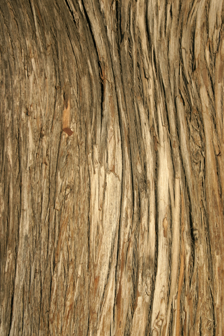 Photoshop free wood textures set