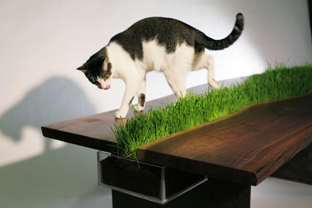 Planter Table by Emily Wettstein