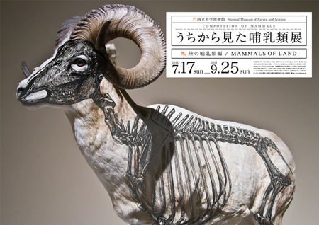 Composition of Mammals by Wataru Yoshida