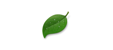 coda logo