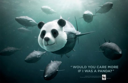 Bluefin Tuna campaign by WWF