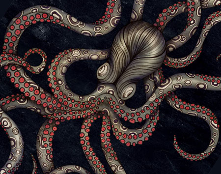 Octopus by Sarah Blake