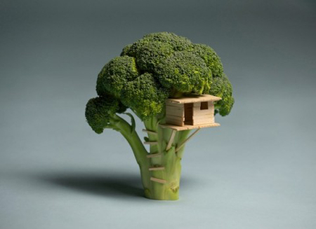 Broccoli house