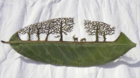 Leaf Cut Art by Lorenzo Durán