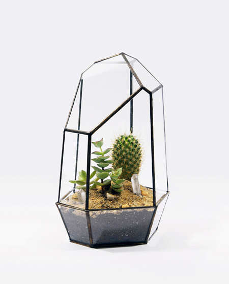 Score+Solder Amazing Terrariums