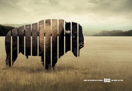 Zoo safari advertising