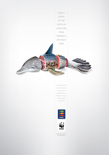 WWF & Sassi: Tuna