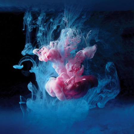 Underwater digital photographs by Mark Mawson